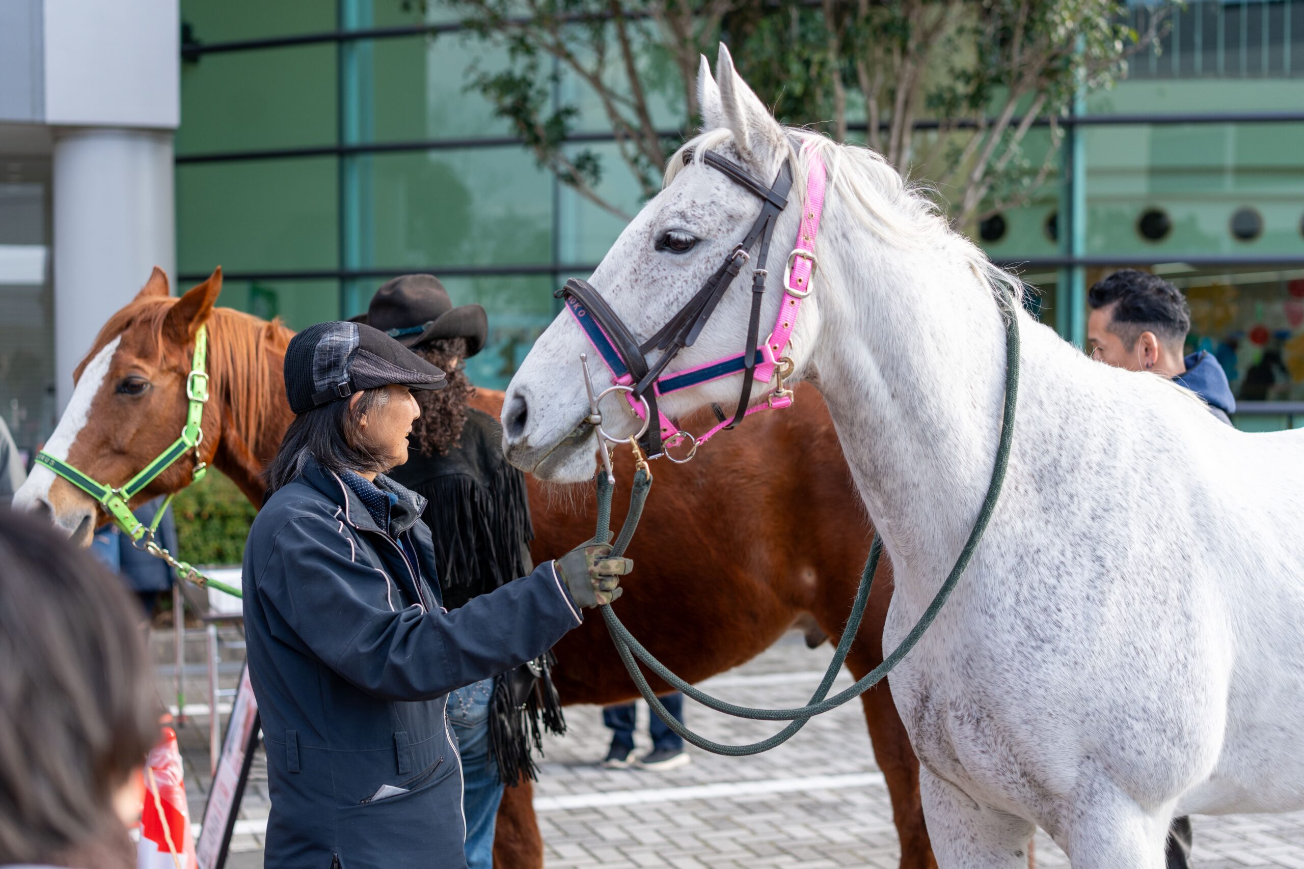 ＼weほーるにお馬さんがやってきた！🐴／2026年1月18日（日）「お馬さんふれあい体験」を開催しました。